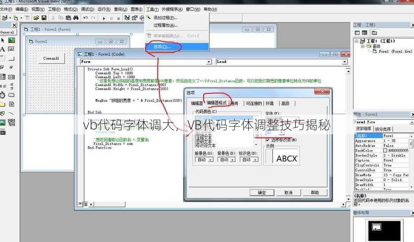 vb代码字体调大