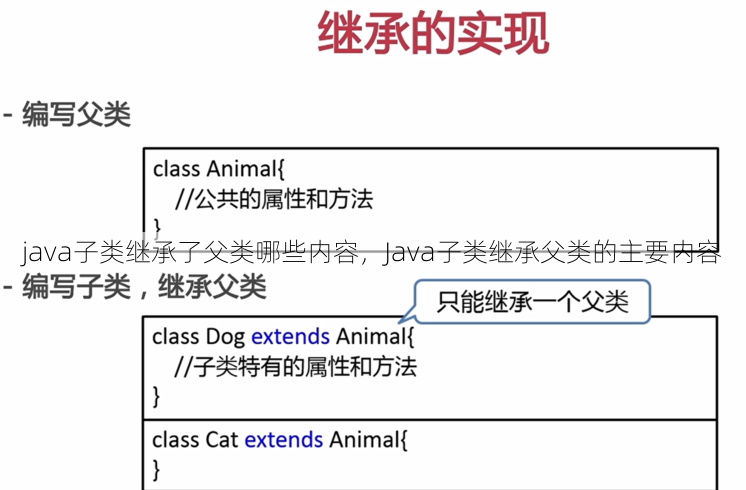 java子类继承了父类哪些内容