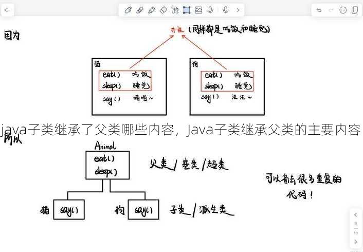 java子类继承了父类哪些内容
