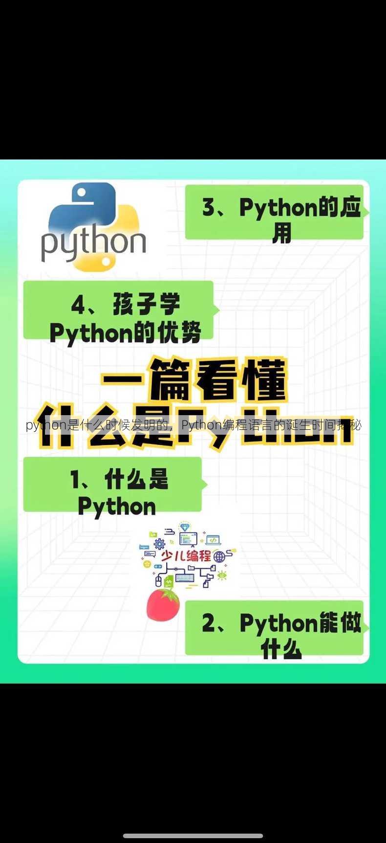python是什么时候发明的