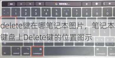 delete键在哪笔记本图片