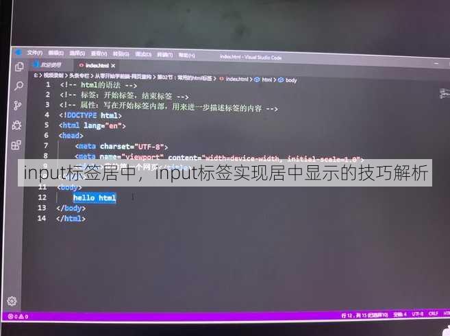 input标签居中