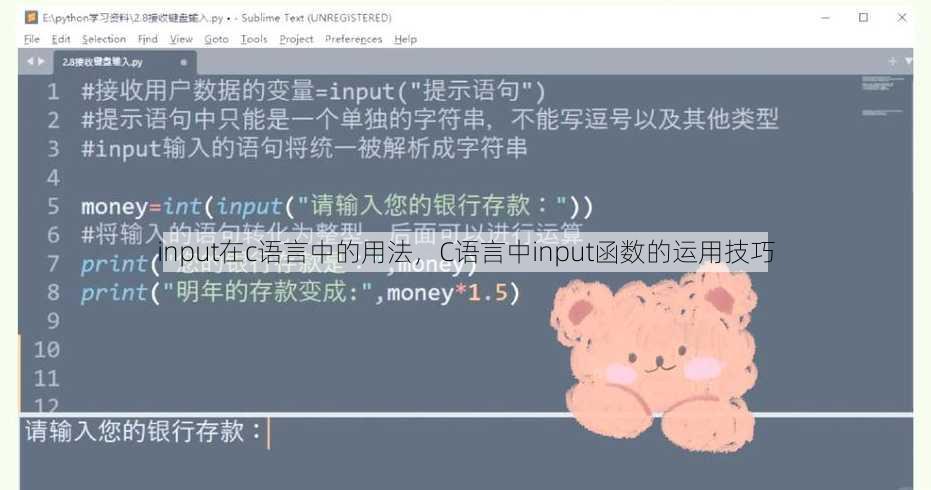 input在c语言中的用法