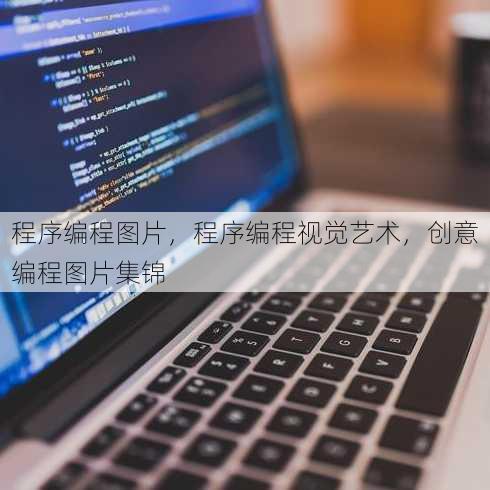 程序编程图片