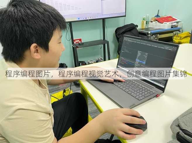 程序编程图片