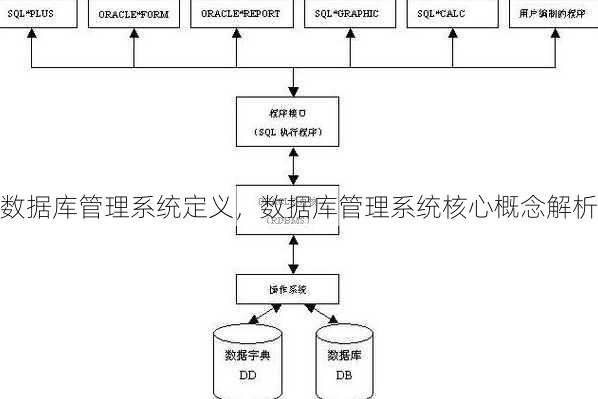 数据库管理系统定义