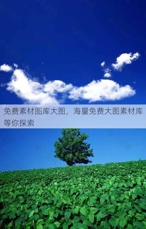 免费素材图库大图