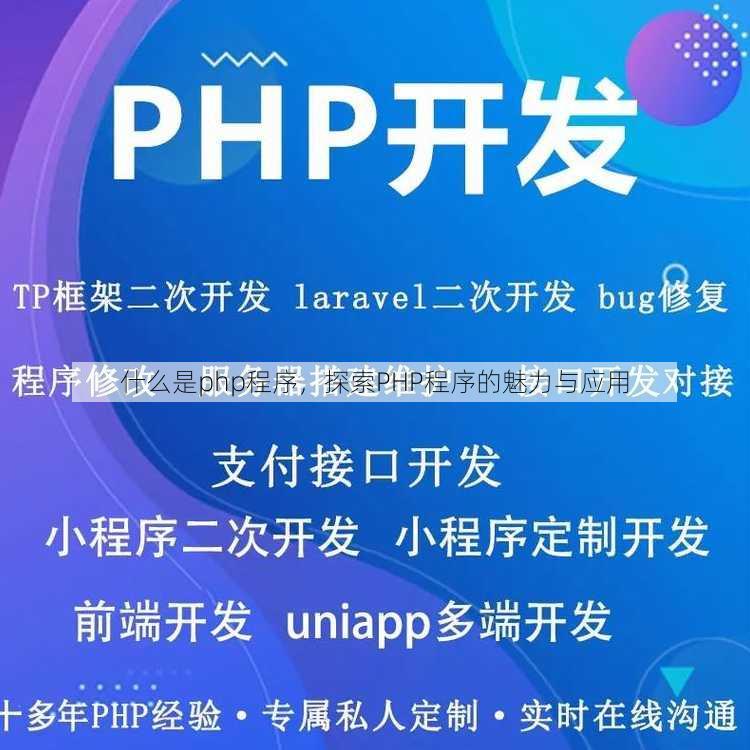 什么是php程序