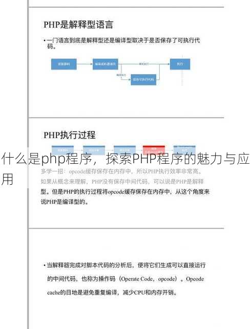 什么是php程序