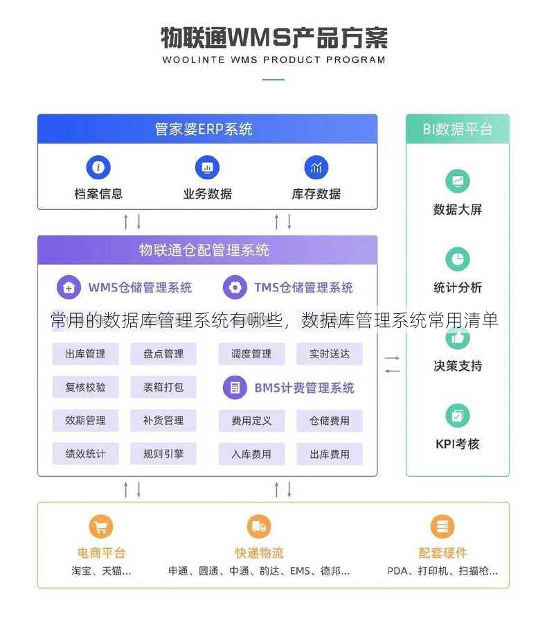 常用的数据库管理系统有哪些