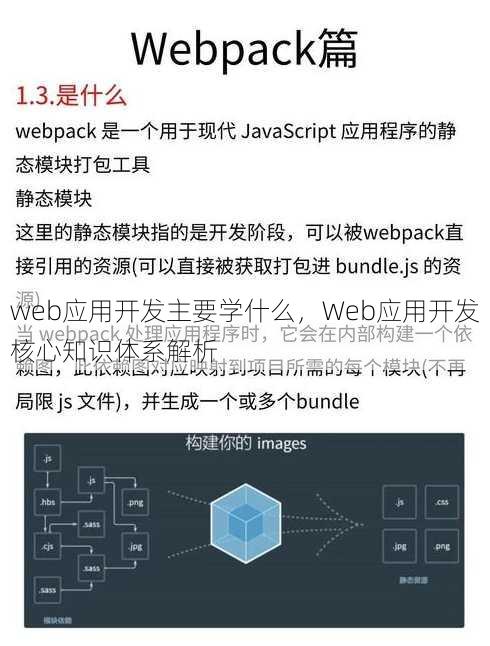 web应用开发主要学什么