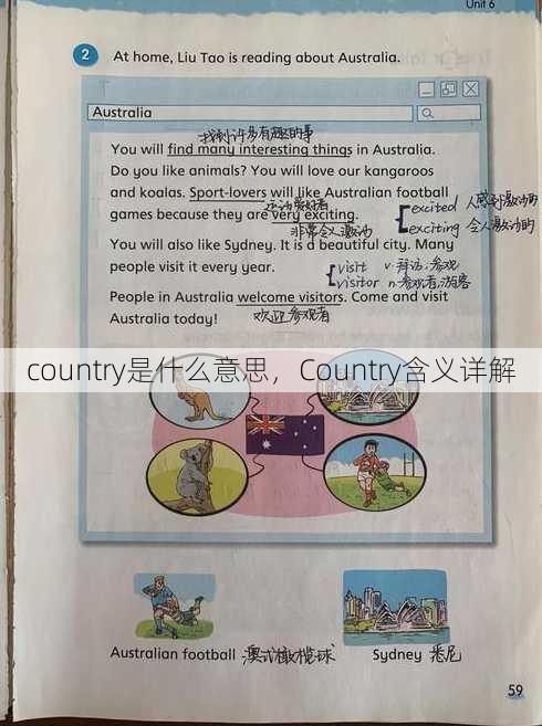 country是什么意思
