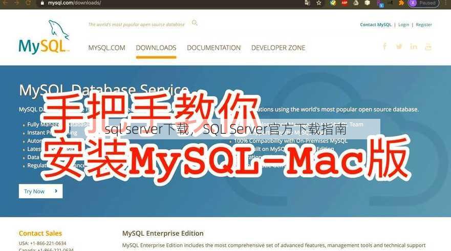 sql server下载