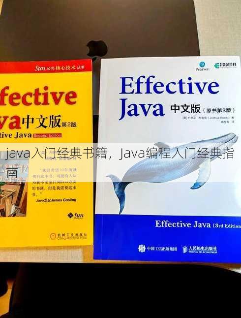 java入门经典书籍