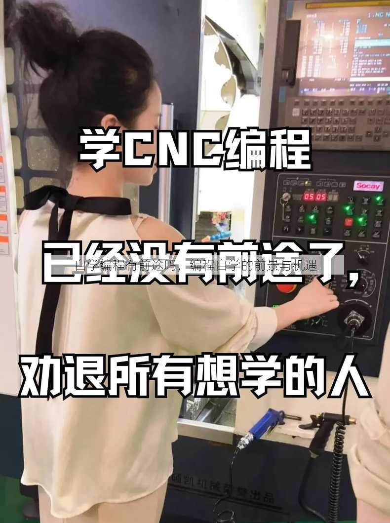 自学编程有前途吗