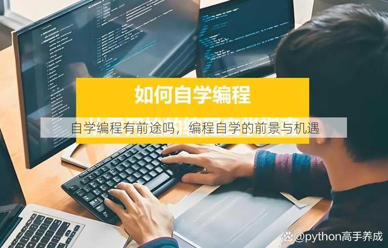 自学编程有前途吗