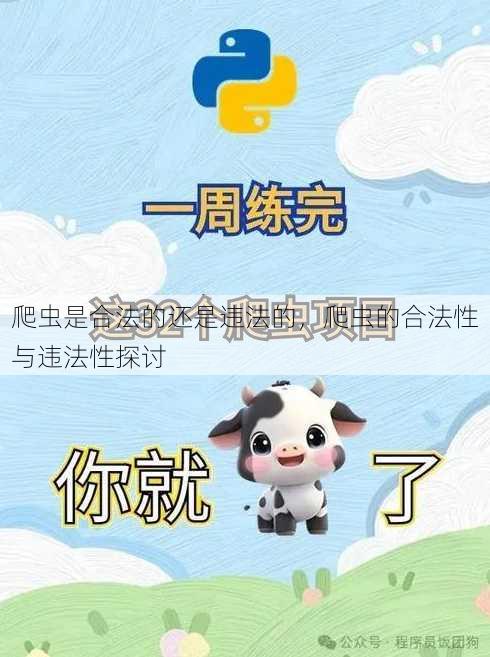 爬虫是合法的还是违法的