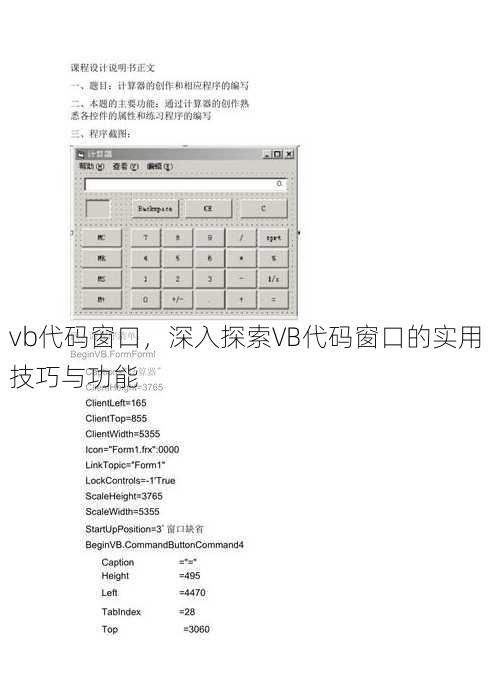 vb代码窗口