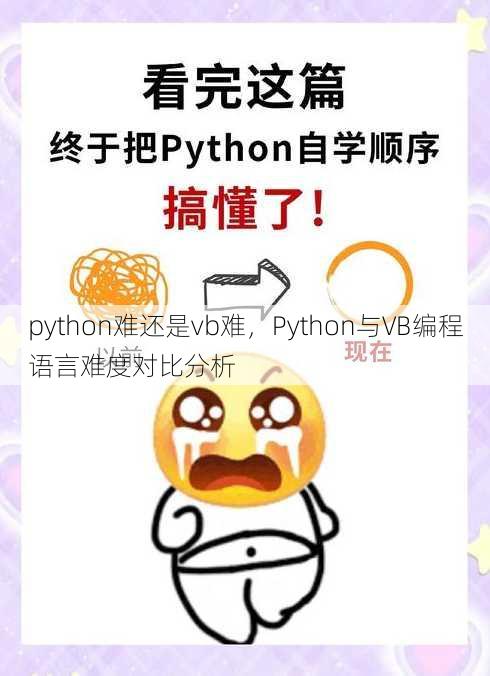 python难还是vb难