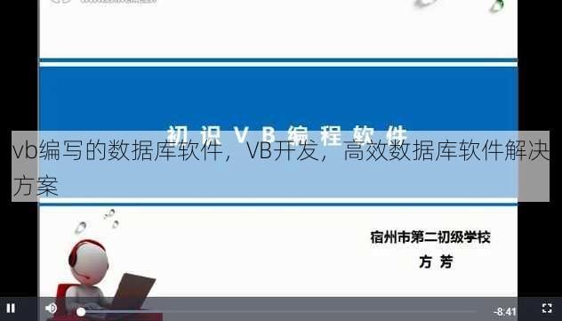vb编写的数据库软件