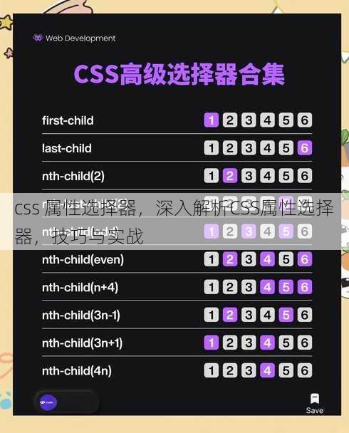 css 属性选择器