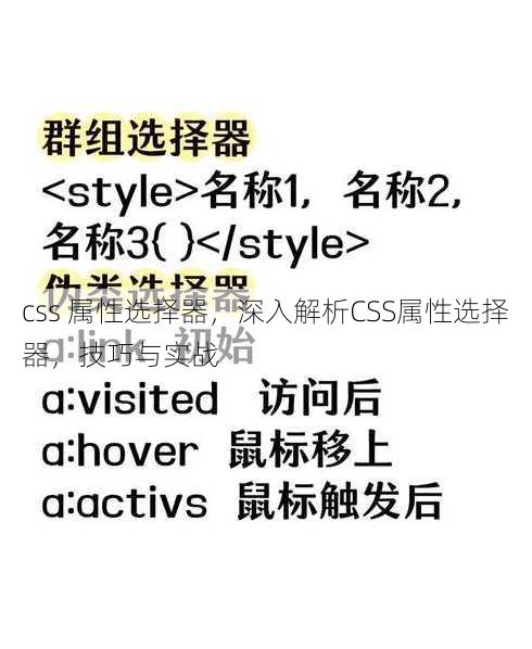 css 属性选择器