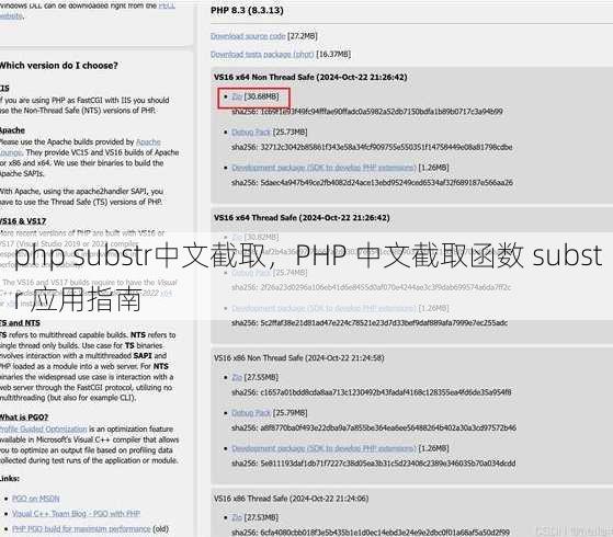 php substr中文截取