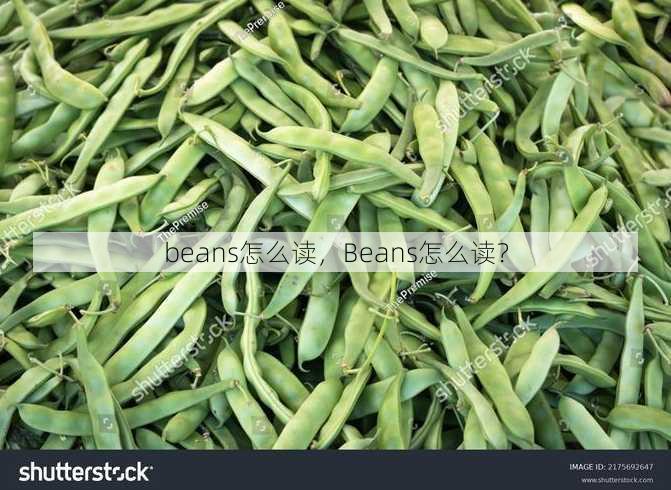 beans怎么读
