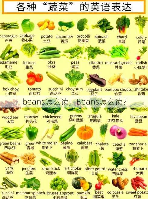beans怎么读