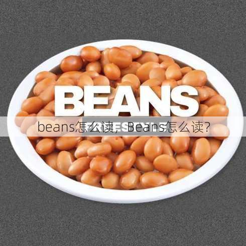 beans怎么读