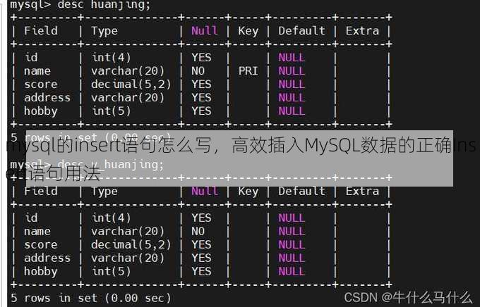 mysql的insert语句怎么写