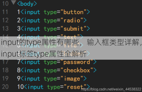 input的type属性有哪些