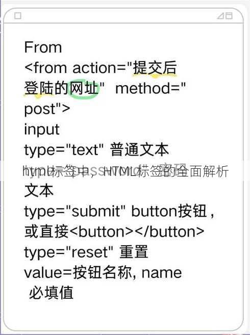 html标签中