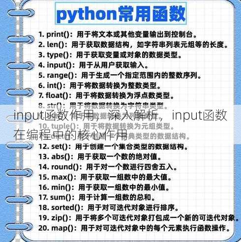 input函数作用