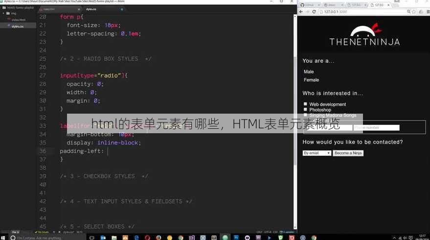 html的表单元素有哪些