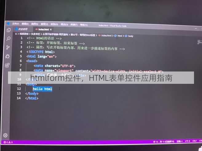 htmlform控件