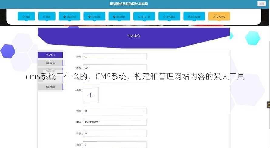 cms系统干什么的