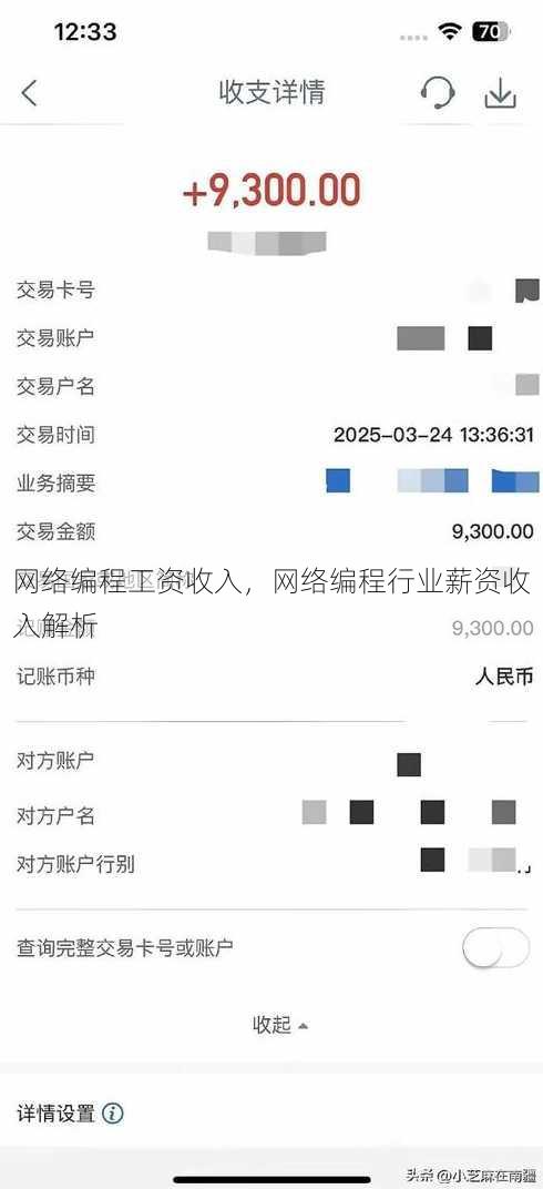 网络编程工资收入