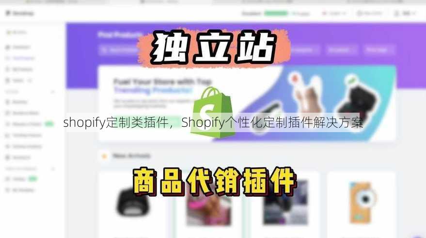 shopify定制类插件