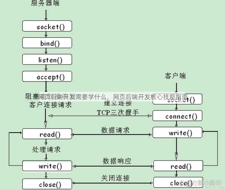 网页后端开发需要学什么
