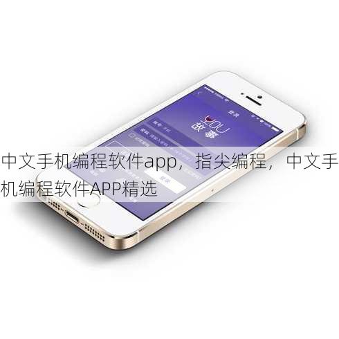 中文手机编程软件app