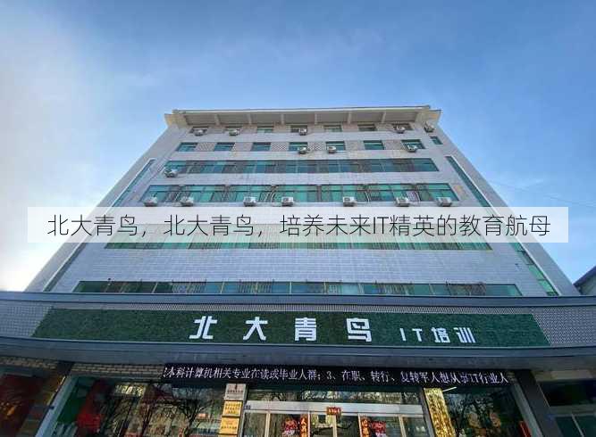 北大青鸟