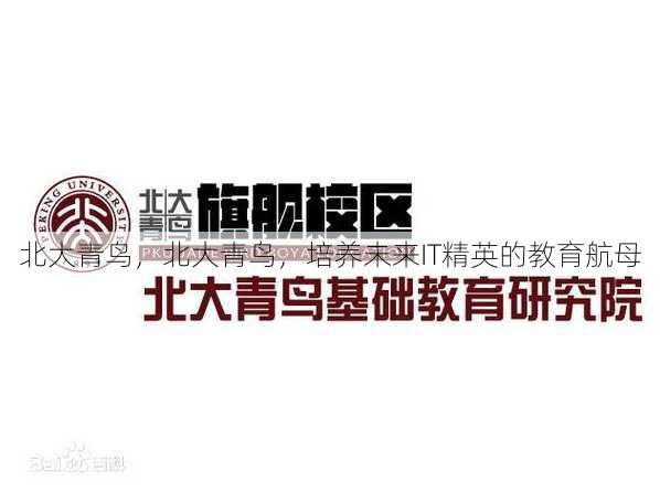 北大青鸟