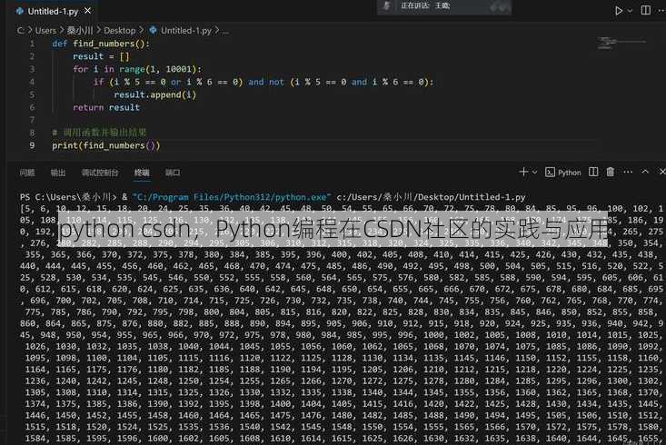 python csdn