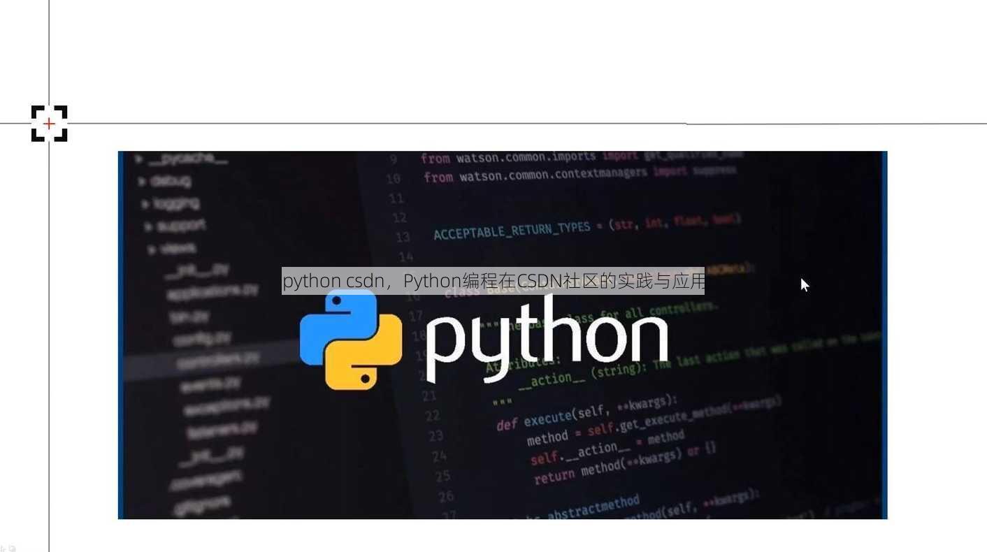 python csdn