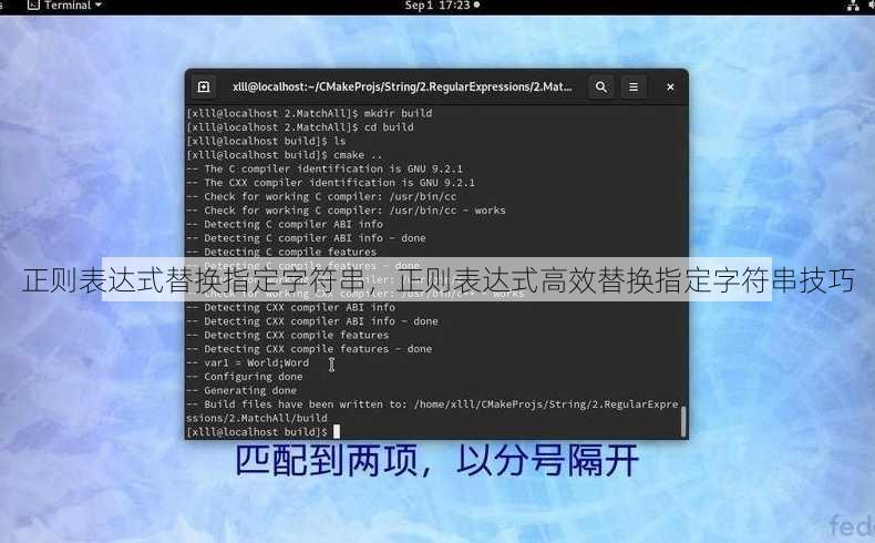 正则表达式替换指定字符串