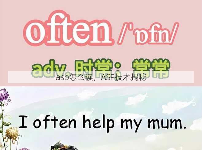 asp怎么读