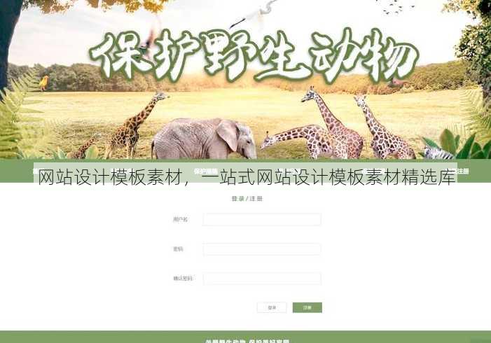 网站设计模板素材