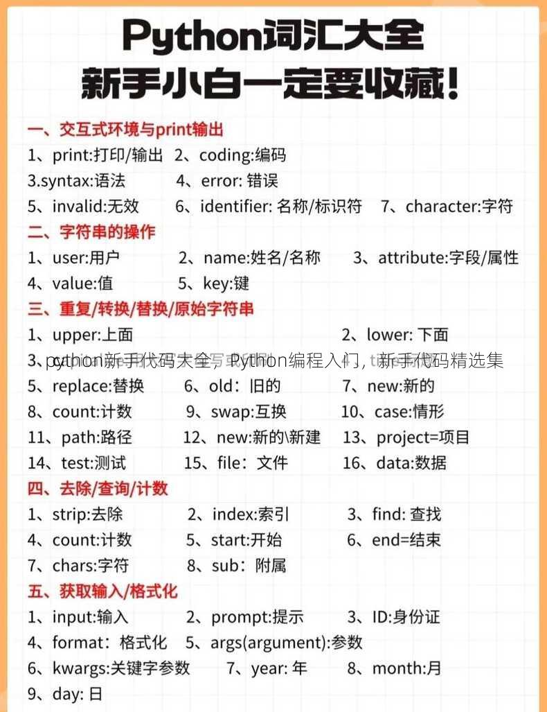 python新手代码大全