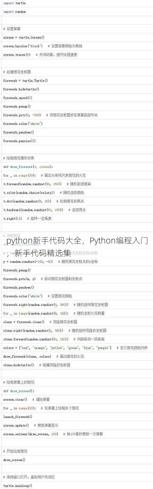 python新手代码大全